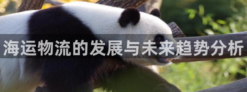 fh至尊网页登入