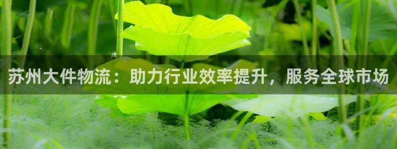fh至尊是凤凰平台么