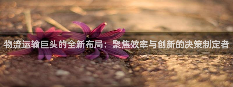 凤凰FH至尊