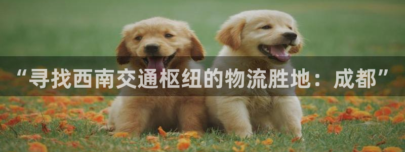 fh至尊怎么没有了
