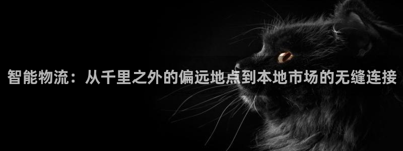 FH至尊招商